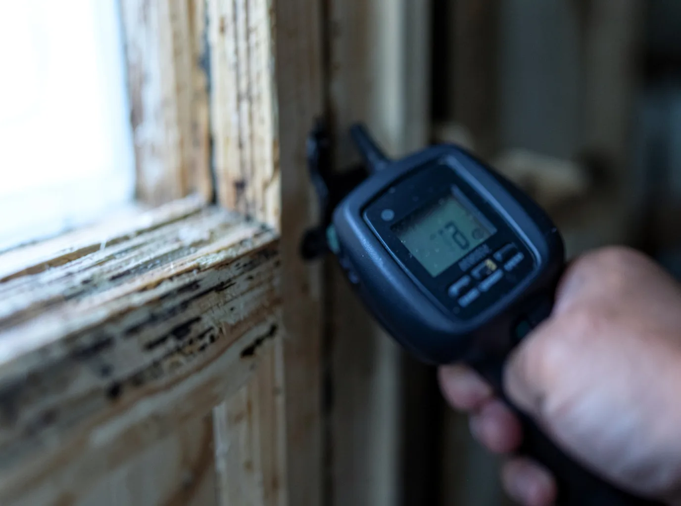 Ceiling Water Damage Repair in Trinity, TX